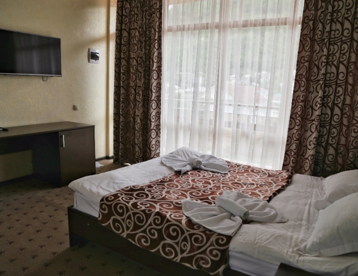 1-мест.(разм. в 2-мест.) станд. комфорт - Отель «Hometel Ilana» Гагра