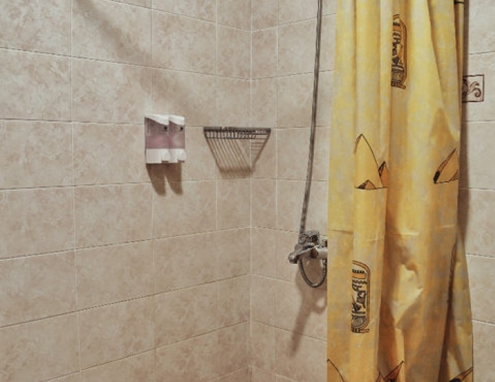 1-мест.(разм. в 2-мест.) станд. комфорт - Отель «Hometel Ilana» Гагра