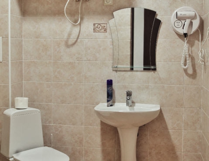 1-мест.(разм. в 2-мест.) станд. семейный - Отель «Hometel Ilana» Гагра